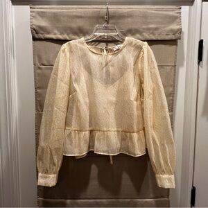 Loft Sheer Cropped Top